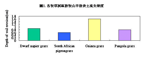 wpeF1.jpg (21840 bytes)